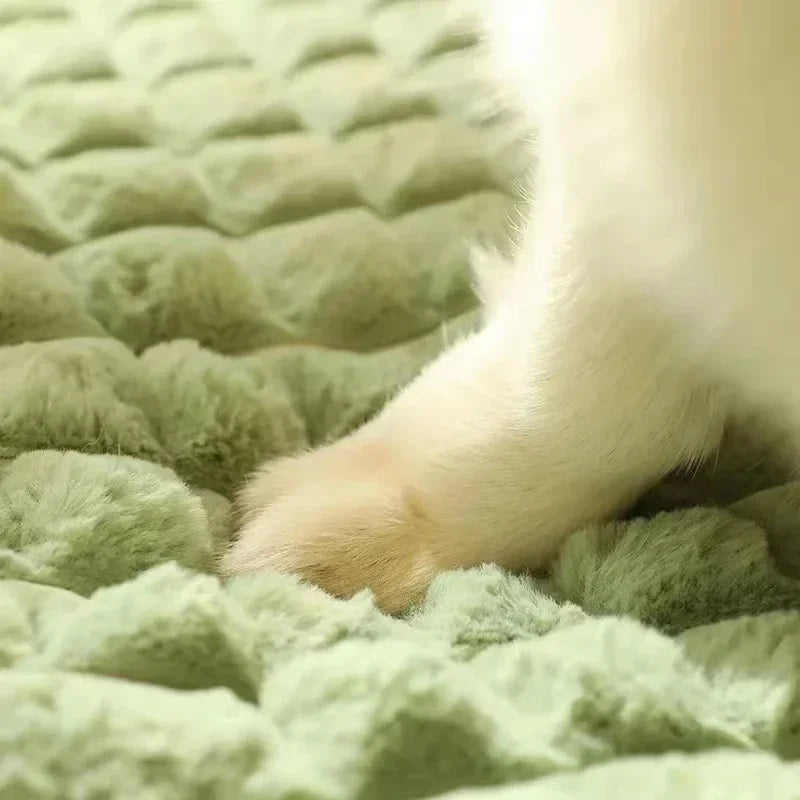 Cama de cachorro lavável à máquina, almofada ortopédica removível para cachorro, espuma de memória de inverno, travesseiro para cães e gatos pequenos, médios e grandes