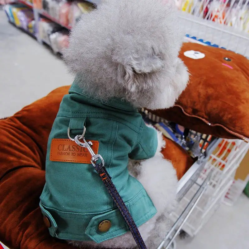 Primavera terno do cão roupas denim casaco roupas com d trela anel para cães pequenos médios filhotes cor do animal de estimação jean pequeno cão traje