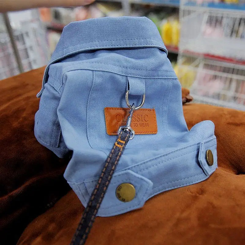 Primavera terno do cão roupas denim casaco roupas com d trela anel para cães pequenos médios filhotes cor do animal de estimação jean pequeno cão traje
