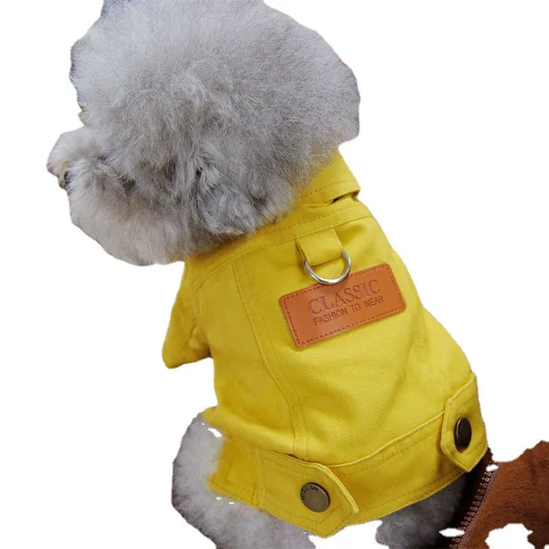 Primavera terno do cão roupas denim casaco roupas com d trela anel para cães pequenos médios filhotes cor do animal de estimação jean pequeno cão traje
