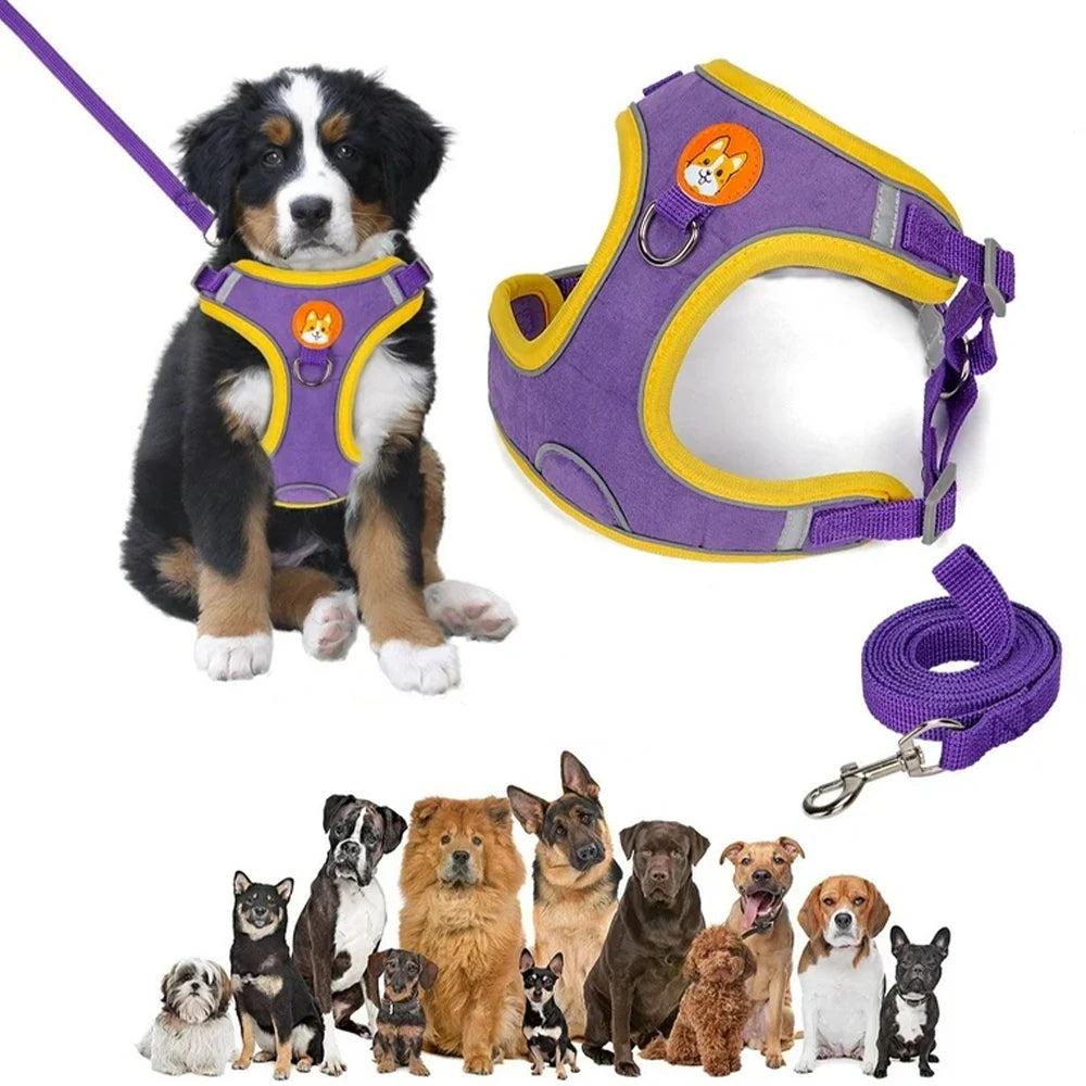 Coleira Peitoral Ajustável para Cães e Gatos, Confortável para Passeio, Material de Nylon Ergonômico e Seguro