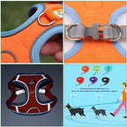 Coleira Peitoral Ajustável para Cães e Gatos, Confortável para Passeio, Material de Nylon Ergonômico e Seguro