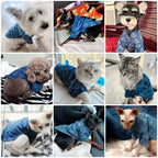 Camisola bonito do animal de estimação da impressão, roupa do cão, forma do filhote, trajes quentes do gato, colete chihuahua macio, mola