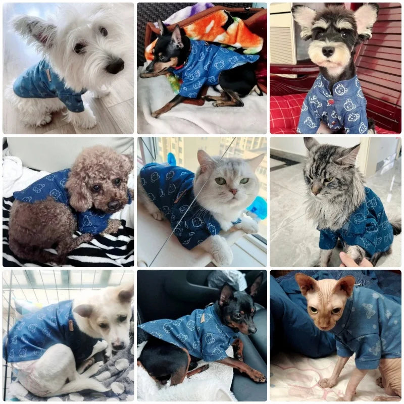 Camisola bonito do animal de estimação da impressão, roupa do cão, forma do filhote, trajes quentes do gato, colete chihuahua macio, mola