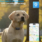 Mini Rastreador GPS 4G para Animais de Estimação, IP67 à Prova d'Água, Localizador em Tempo Real, Coleira Inteligente para Cães e Gatos com Controle por APP
