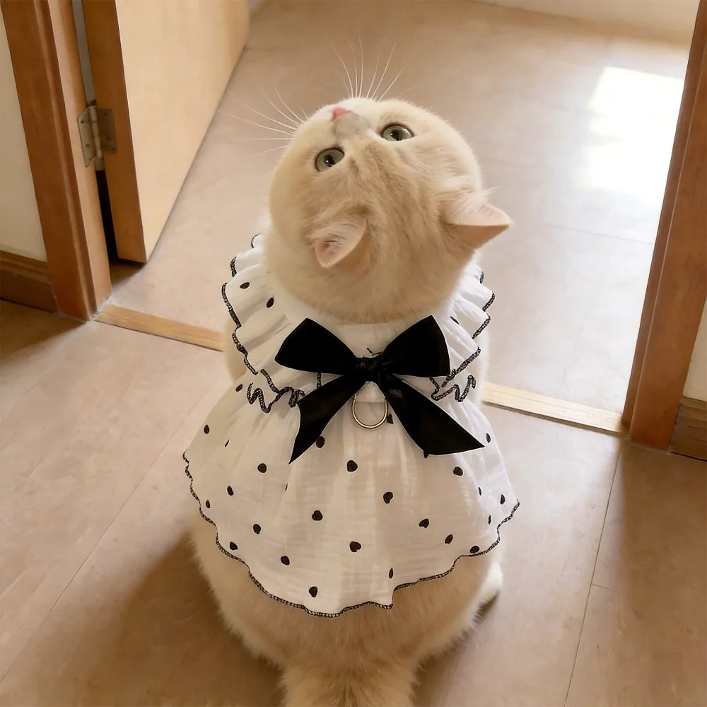 Vestido de Verão para Gatos, Roupa Fina Anti-Queda de Pelos para Animais de Estimação, com Argola D para Coleira, Respirável, para Gatinhos, Cães Pequenos e Filhotes, Estilo Princesa Fofo