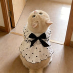 Vestido de Verão para Gatos, Roupa Fina Anti-Queda de Pelos para Animais de Estimação, com Argola D para Coleira, Respirável, para Gatinhos, Cães Pequenos e Filhotes, Estilo Princesa Fofo