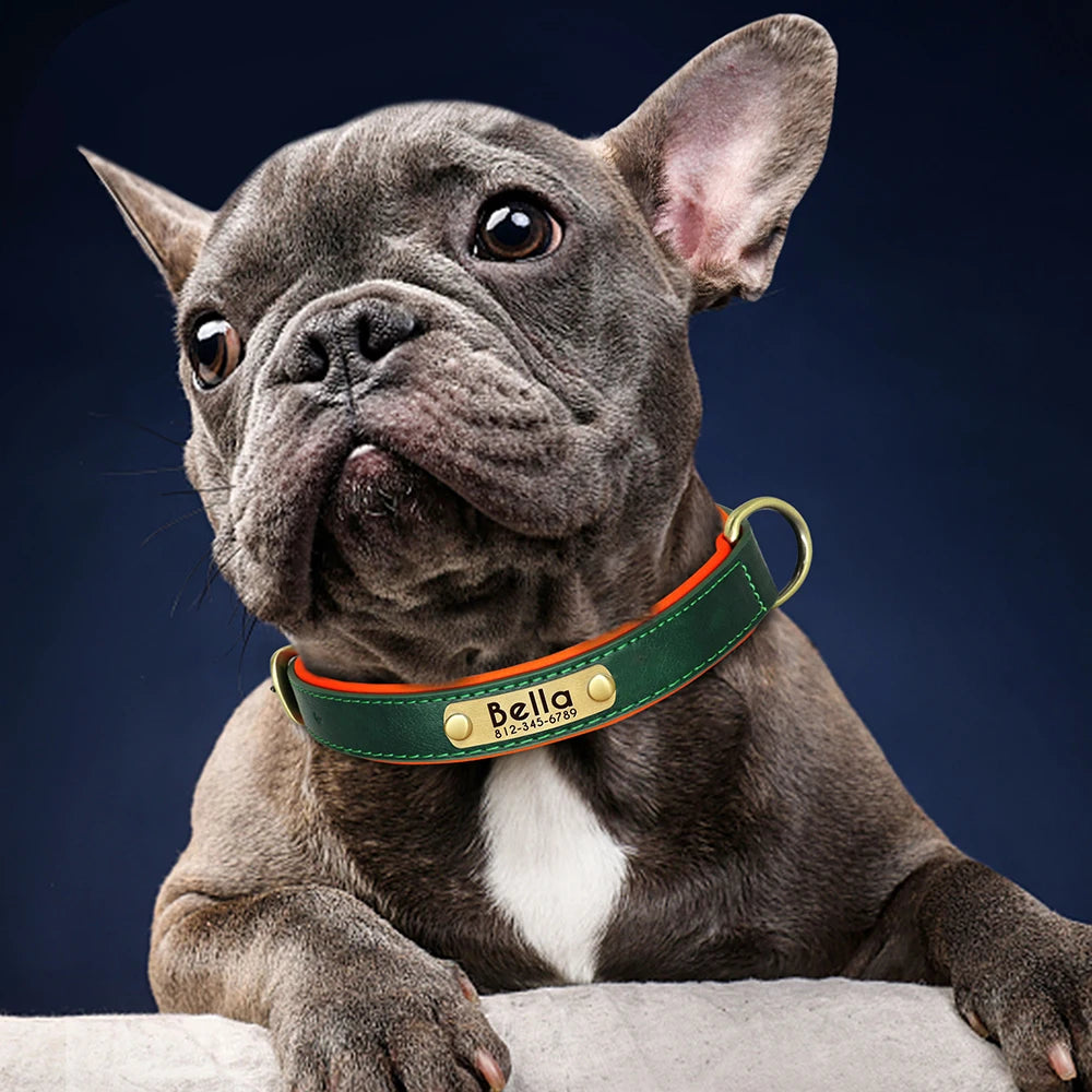 Coleira de couro pu personalizada com placa de identificação, coleira macia acolchoada para cães, nome gravado gratuito para cães pequenos, médios e grandes, ajustável