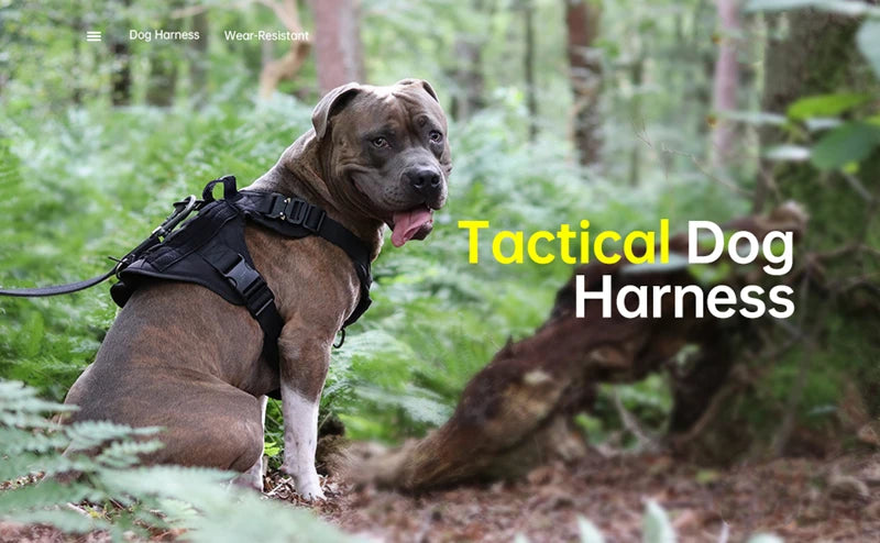 Colete militar tático para animais de estimação pastor alemão golden retriever treinamento tático arnês e trela conjunto para todas as raças cães