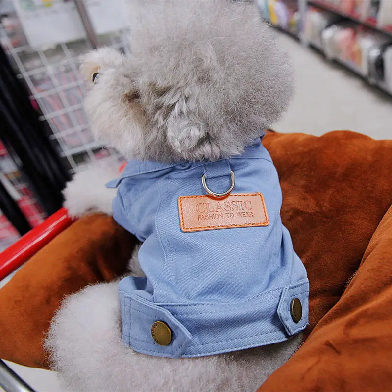 Primavera terno do cão roupas denim casaco roupas com d trela anel para cães pequenos médios filhotes cor do animal de estimação jean pequeno cão traje