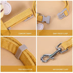 Conjunto de coleira de coleira para gato, ajustável, desenho animado, abelha, camada dupla, arnês para cães, pequeno, médio, coleira para animais de estimação, caminhada ao ar livre