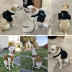Colete militar tático para animais de estimação pastor alemão golden retriever treinamento tático arnês e trela conjunto para todas as raças cães