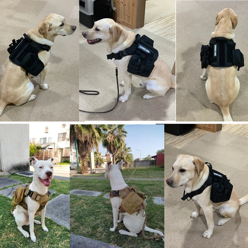 Colete militar tático para animais de estimação pastor alemão golden retriever treinamento tático arnês e trela conjunto para todas as raças cães