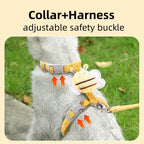 Conjunto de coleira de coleira para gato, ajustável, desenho animado, abelha, camada dupla, arnês para cães, pequeno, médio, coleira para animais de estimação, caminhada ao ar livre