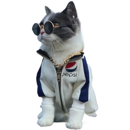 Adorável vintage redondo gato óculos de sol reflexão óculos para pequeno cão gato pet fotos produtos para animais de estimação adereços acessórios