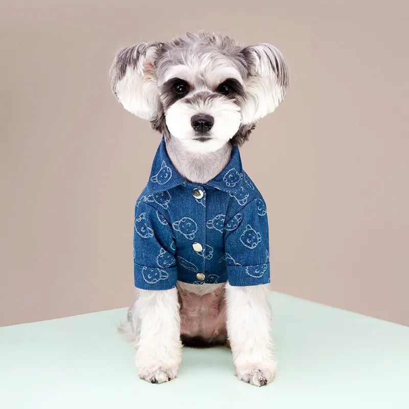 Camisola bonito do animal de estimação da impressão, roupa do cão, forma do filhote, trajes quentes do gato, colete chihuahua macio, mola