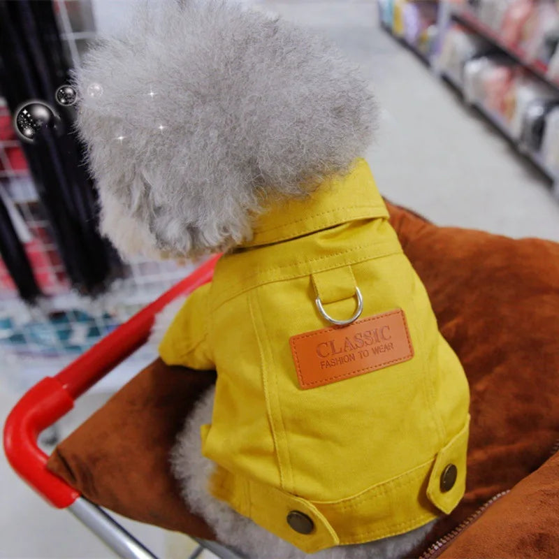 Primavera terno do cão roupas denim casaco roupas com d trela anel para cães pequenos médios filhotes cor do animal de estimação jean pequeno cão traje