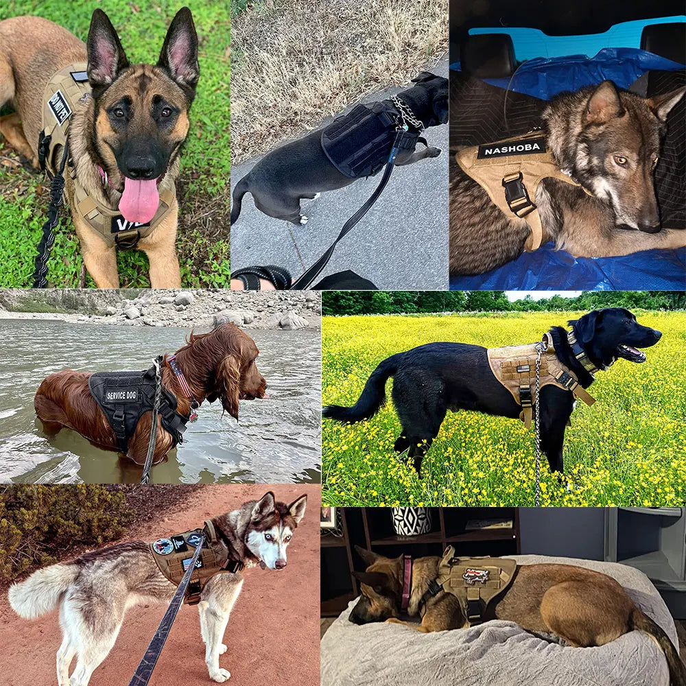 Coleira Tática Militar para Cães Grandes e Médios, Colete de Treinamento para Pastor Alemão e Malinois, Acessórios de Caça para Cães
