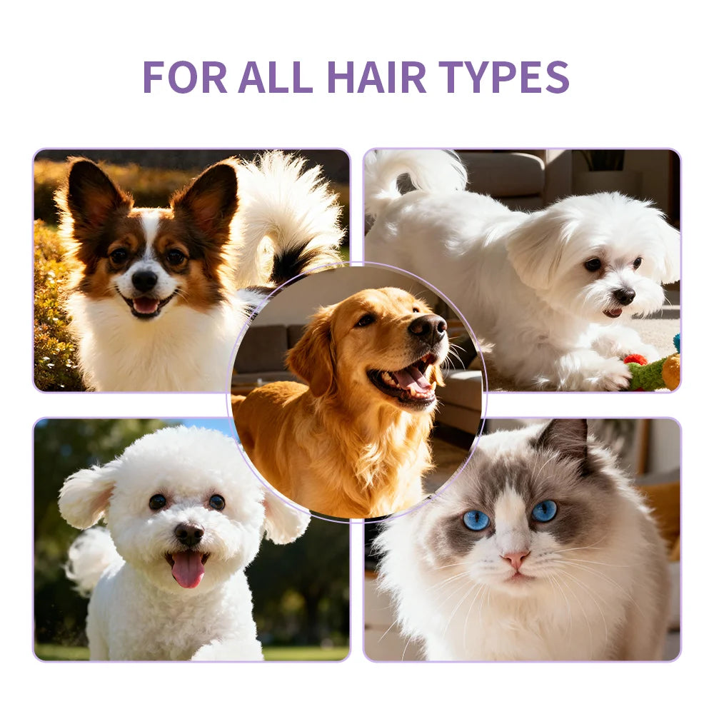 Shampoo e Condicionador 4 em 1 para Cães 220ml Lavanda e Camomila Fórmula Suave Acalma a Pele Desodoriza Limpa Sujeira Amacia