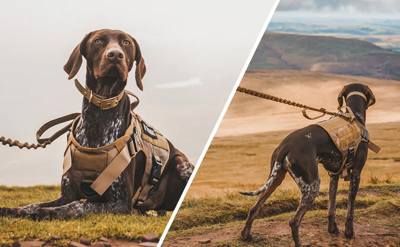 Colete militar tático para animais de estimação pastor alemão golden retriever treinamento tático arnês e trela conjunto para todas as raças cães