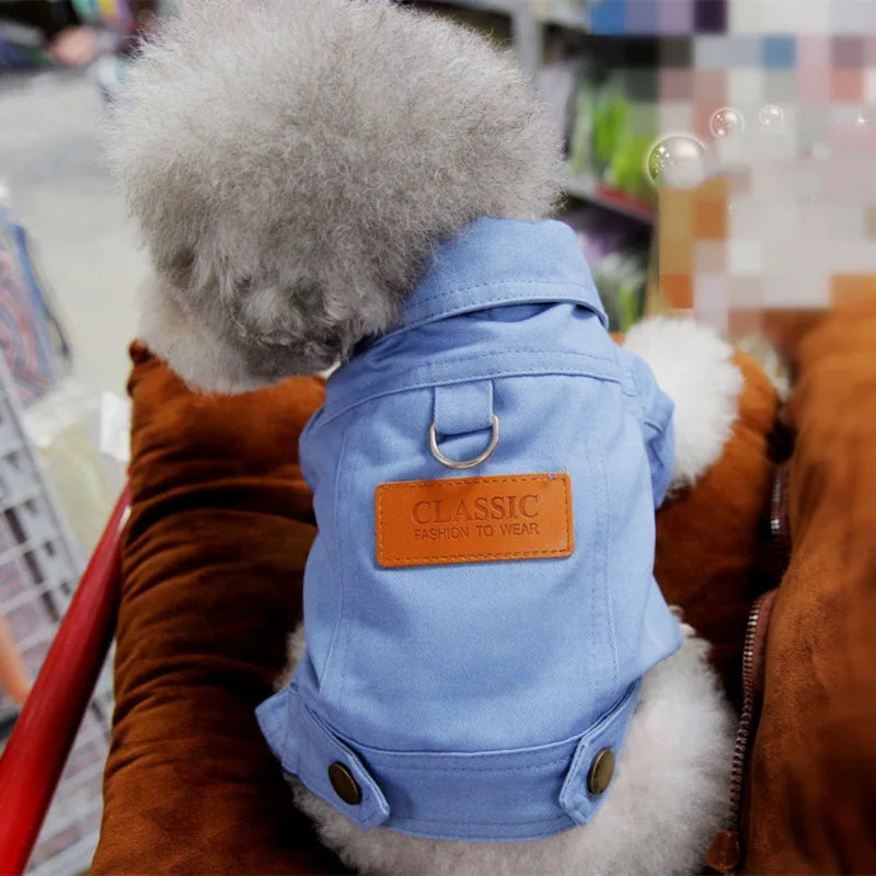 Primavera terno do cão roupas denim casaco roupas com d trela anel para cães pequenos médios filhotes cor do animal de estimação jean pequeno cão traje